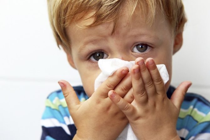 Stop emergenza influenza: ora tocca ai virus parainfluenzali